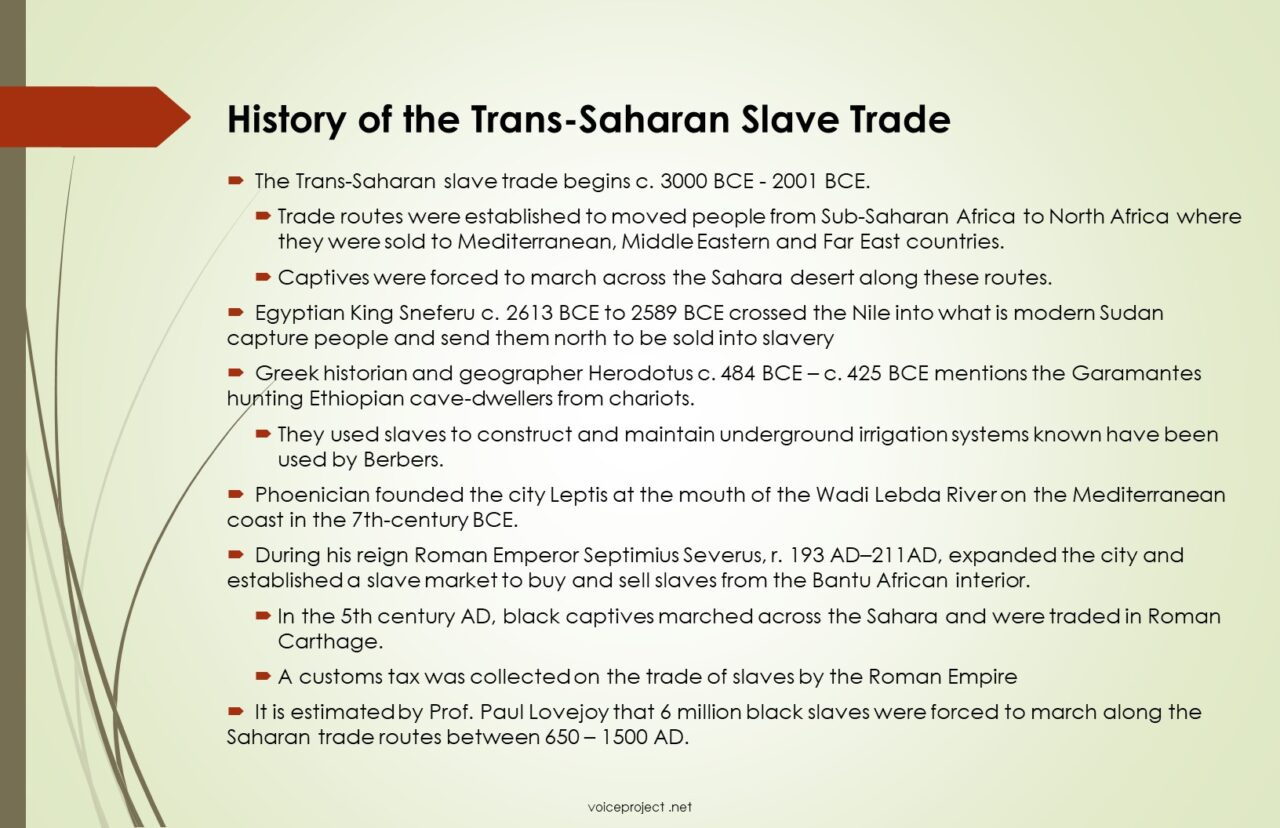 History Of The Trans-Saharan Slave Trade | The Voices Project